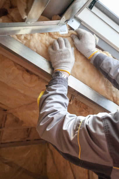 Best DIY Insulation Kits and Guidance in Manly, IA