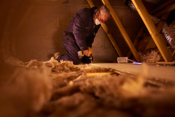 Best Specialized Insulation Services in Manly, IA